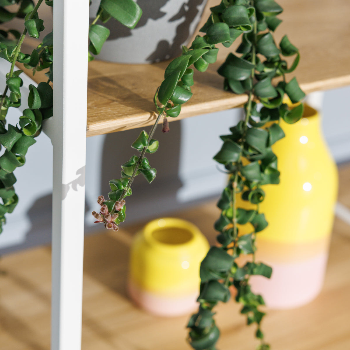 Design-Regal mit harmonischer Kombination aus Holzregalböden und Metallakzenten
